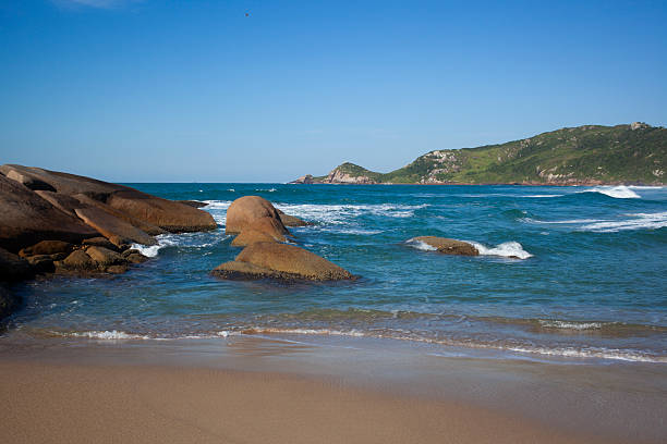 Beautiful day in Praia Mole Beach in Florianopolis, SC, Brazil