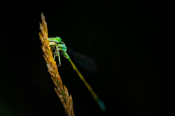 An aesthetically pleasing and impressive nature photograph.