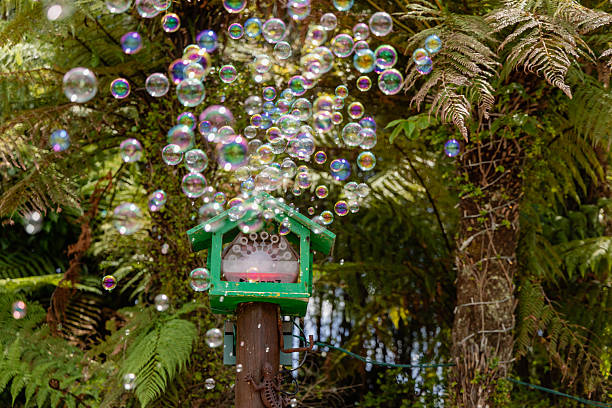 Floating spheres drift upward near lush foliage bubble blower outdoor garden