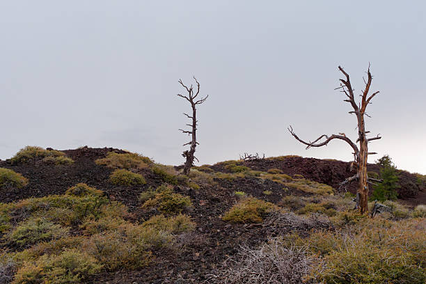 La Palma, landscapes along the long-range popular hiking route Ruta de Los Volcanes, going along the crest of the island from El Paso to Fuencaliente municipalities