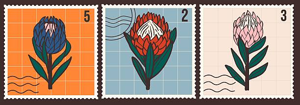 Vintage hand drawn protea flowers postage stamp set . Retro vector collection of floral mail stickers with grid background and postal cancellation marks. South African botanical philately design