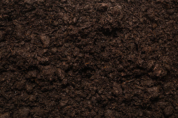 istock Black land for plant background. 2257082564