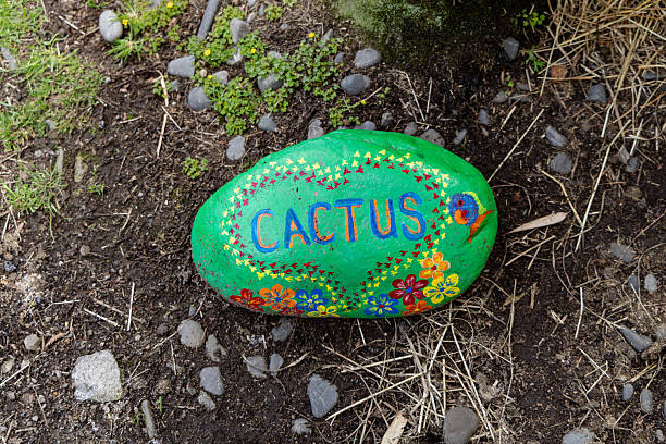 Bright stone label marks succulent patch area marker outdoor soil earth ground