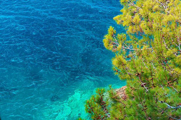 tranquil seascape from the cliff