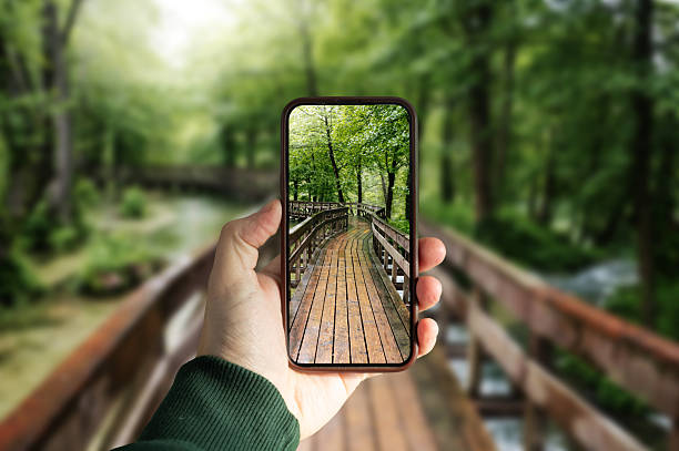 A smartphone capturing a wooden bridge along a forest path, representing eco-tourism, outdoor adventure, navigation apps, and nature exploration.