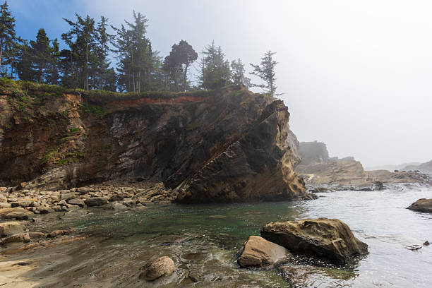 Rocky cliffs and layered coastal rock formations rise above calm ocean water along the Oregon shoreline in the Pacific Northwest. Evergreen trees crown the rugged headland while mist and soft light emphasize the natural textures, geology, and tranquil coastal atmosphere.