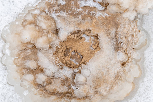 Abstract Ice and Sand Formation on Frozen Baltic Shore, Organic Circular Pattern Created by Sea Frost and Winter Erosion