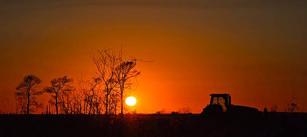 A Sunset over a field near Anahuac Texas