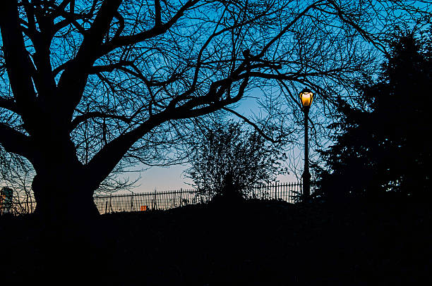 Central Park Lights New York City