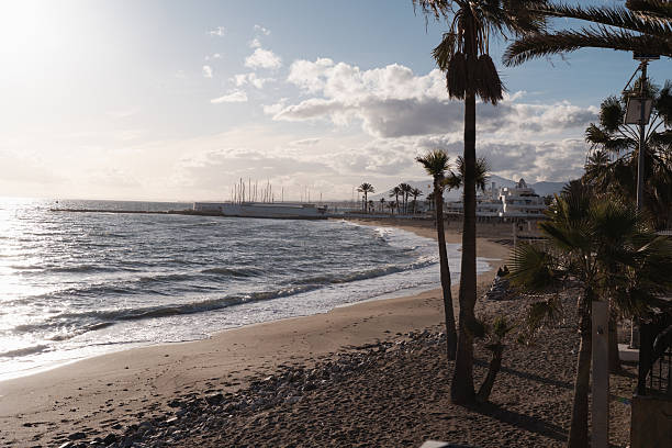 A breathtaking view of Marbella's sandy beach, featuring rolling waves, swaying palm trees, and a modern marina under a bright Mediterranean sky.