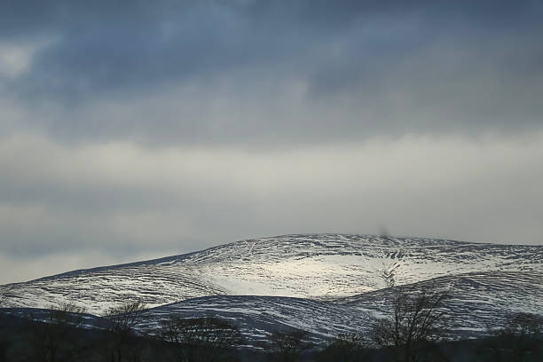 A serene winter landscape with snow dusted hills rising behind a dark pine forest beneath a soft, overcast sky. Calm, atmospheric scene suitable for nature, travel, and seasonal photography projects