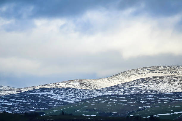 A serene winter landscape with snow dusted hills rising behind a dark pine forest beneath a soft, overcast sky. Calm, atmospheric scene suitable for nature, travel, and seasonal photography projects