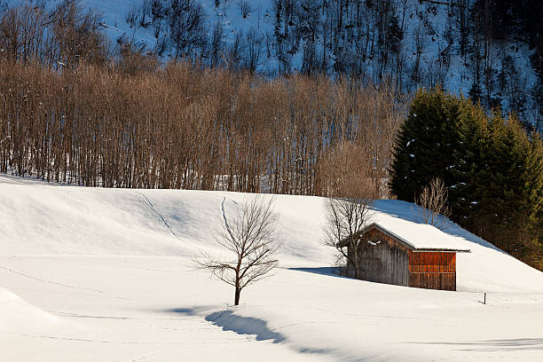 Snowcat with cabin to take skiers snowboarders freeride downhill in remote caucasus mountains. Ratrak in