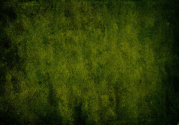Abstract Green Grunge paper Background