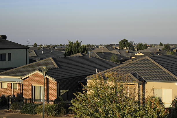 Image shows the tops of several rows of newly built houses in the suburbs, they are lit with a warm golden light