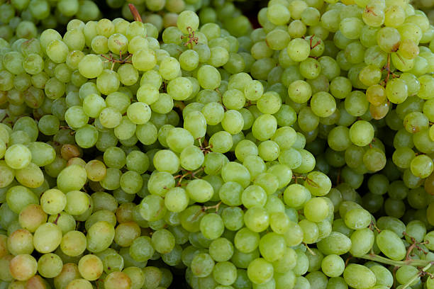 One green bunch of grapes isolated on a pink background. Directly above, studio shot.