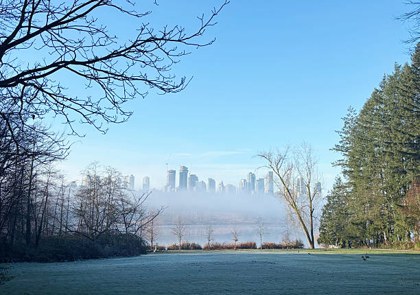 Looking out at the Metrotown skyline in Burnaby on a foggy morning.