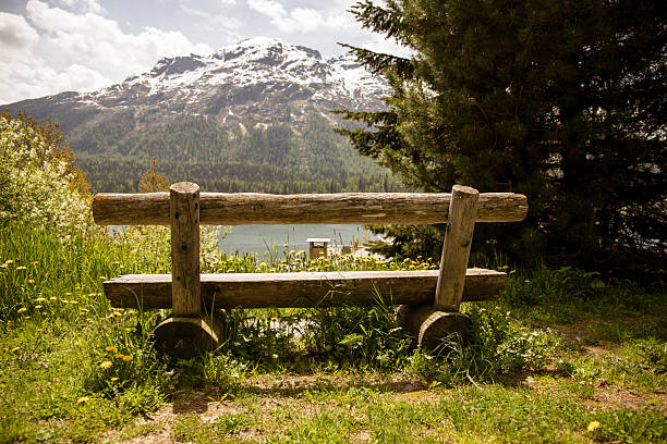Wooden bench in alpine greenery, viewpoint on beautiful Glacier Lake