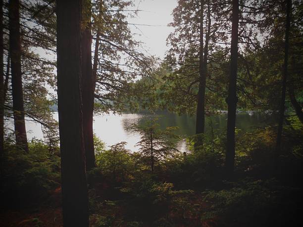 Algonquin Provincial Park, Ontario, Canada