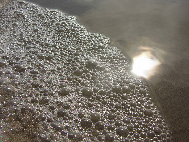 Bubbles Extreme Close-up Beach Shoreline