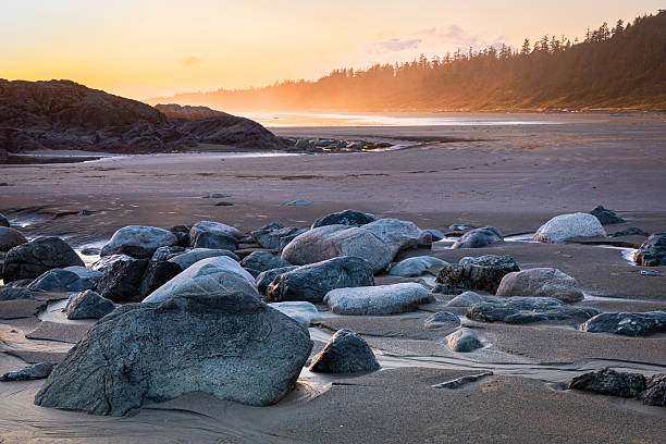Tofino, British Columbia located on western Vancouver, a popular travel destination for many.