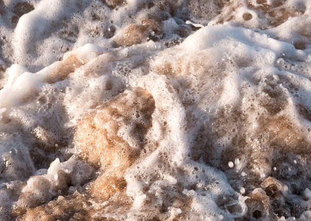 Close-up view of frozen sea foam and ice patterns on wet sand along a winter shoreline. Natural background representing cold climate, freezing conditions and coastal winter.