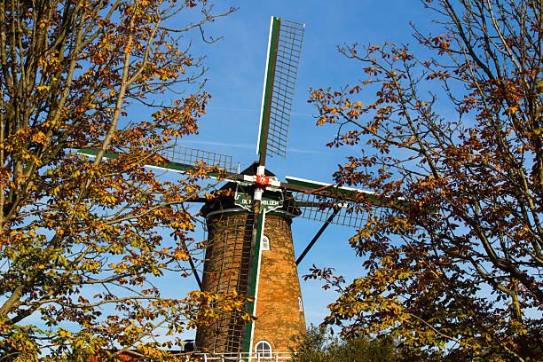 Vintage German House and Mill in Sunset Light