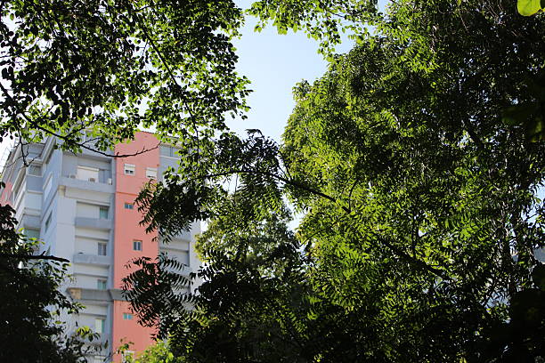 A view from a public park in Santo Domingo during the afternoon