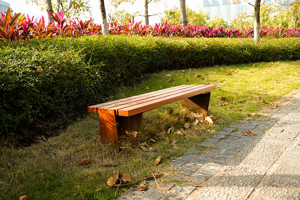 Modern wooden bench in a peaceful urban park with colorful foliage