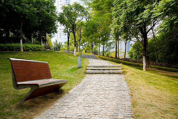Wooden bench on paved path in urban park with green trees and city skyline