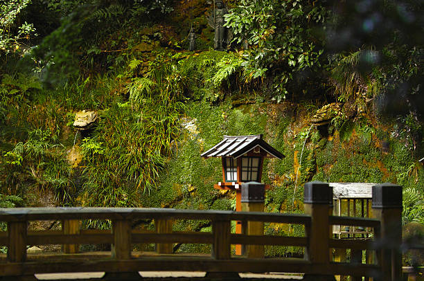 The forested hills surrounding Kyoto offer a tranquil escape into nature, where ancient trees rise above moss-covered stones and sunlight filters gently through a dense canopy of green. These woodlands, nestled at the city's edge, evoke a timeless serenity, with winding paths, whispering bamboo groves, and the subtle scent of cedar and earth. Birds call from above, and hidden shrines or torii gates occasionally appear through the foliage, blending nature with centuries of spiritual presence. Whether in the soft mist of morning or dappled in golden afternoon light, the forests around Kyoto embody the quiet soul of Japan’s natural beauty and cultural depth.