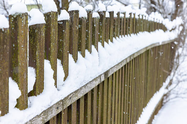 Shadows in the snow on the fence