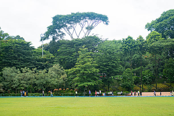 Morning activities at Park, a cool and shady green open space destination in the city.