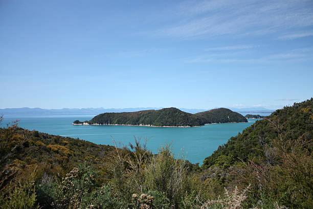 Abel Tasman National Park hiking track