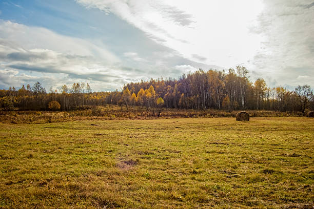 A mown field in late autumn on a cloudy day, Russia