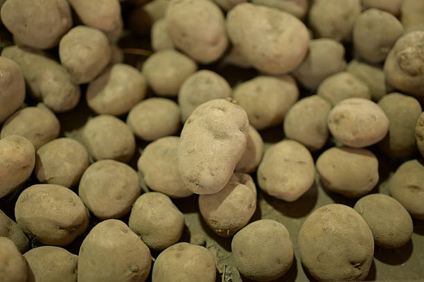 Farm potatoes in paper bag sack