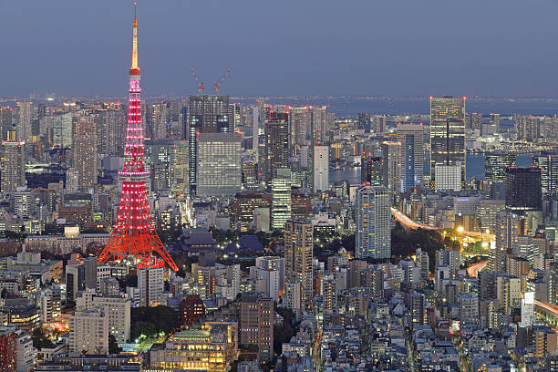 High angle view of the Tokyo skyline at night. Modern skyscrapers and Tokyo Tower dominate the cityscape.