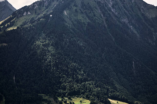 A scenic view of the Swiss Alps in summer, featuring green alpine landscapes, mountain peaks, and clear skies. The image conveys natural beauty, tranquility, and outdoor adventure, suitable for travel, tourism, hiking, and European nature concepts.