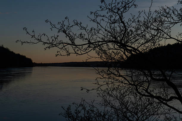 Dark winter afternoon with sunset over lake Borrevannet in Horten, Norway. Gloomy winter mood. Sunset through branches of tree.