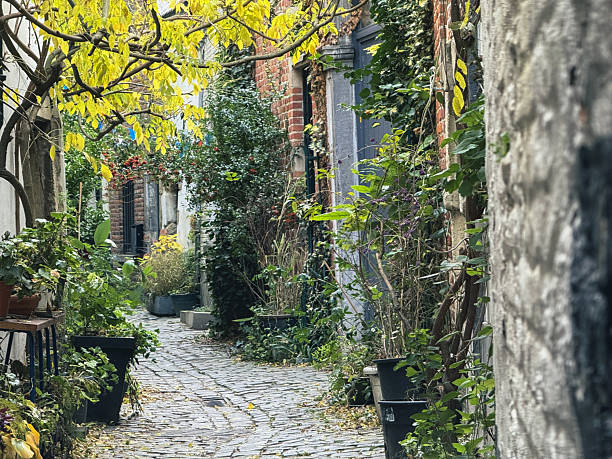 Cobblestone alley with abundant green plants and autumn yellow leaves in a brussels cul de sac