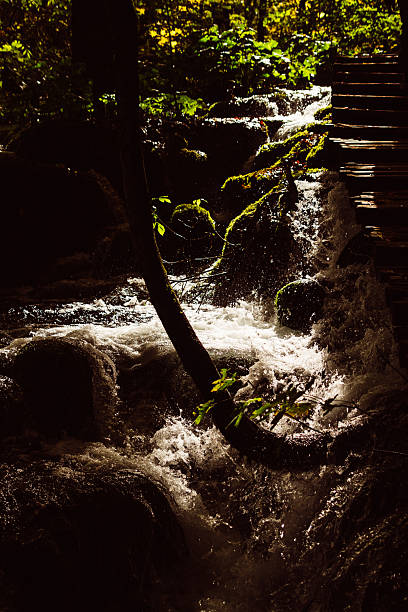 Plitvice Lakes during the day with waterfall and rushing water