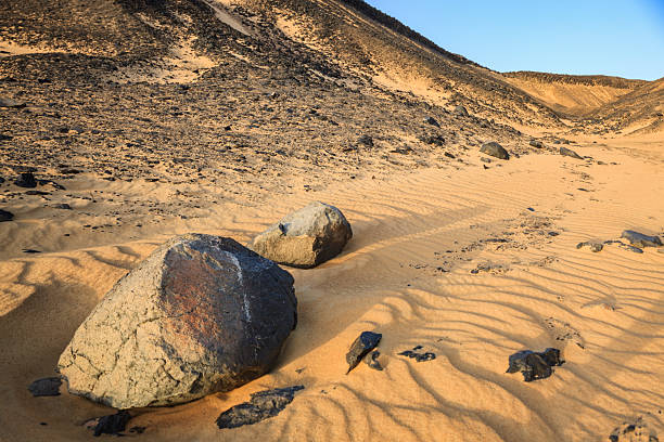 A wide desert valley shows warm, golden sand sculpted into wind-driven ripples stretching toward low rocky ridges. Dark, weathered boulders and smaller black stones punctuate the foreground and midground, casting long shadows that emphasize texture and erosion patterns. The scene is bathed in low-angle sunlight under a clear blue sky, conveying a remote, arid landscape.