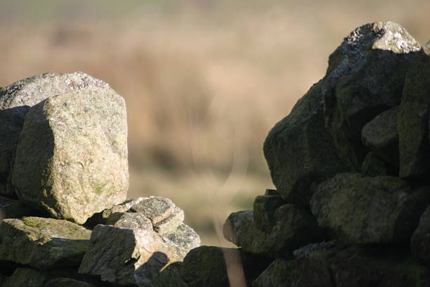 Castlerigg stone circle in the Lake District of Cumbria is approximately 4500 years old