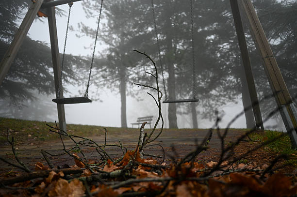 Abandoned swing set on a playground with a thick fog rolling through pine trees