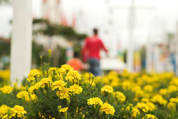 Cheerful Floral Display in Public Park with Dome Landmark
