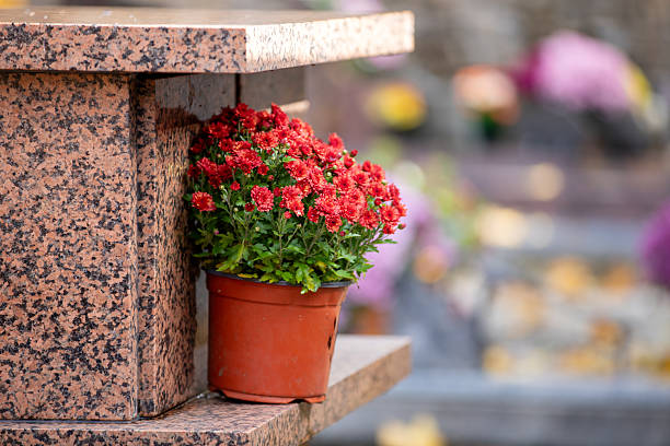 Bouquets of fresh, multicolored flowers placed on a columbarium in a cemetery on All Saints' Day. Monument for the preservation of funeral urns after cremation. France.