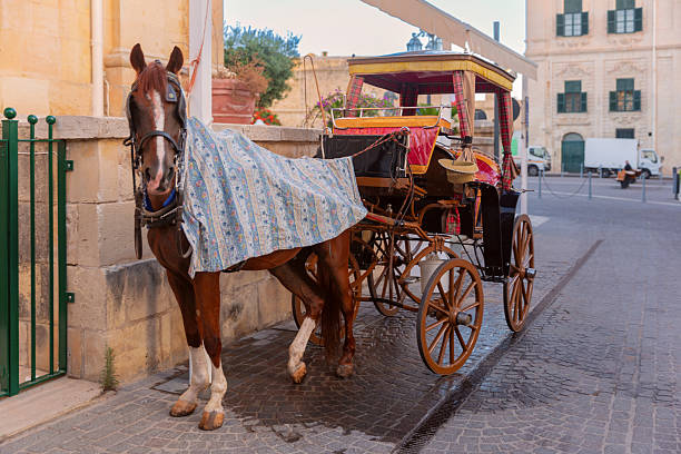 Traditional horse carriage parked on a street in Valletta, Malta