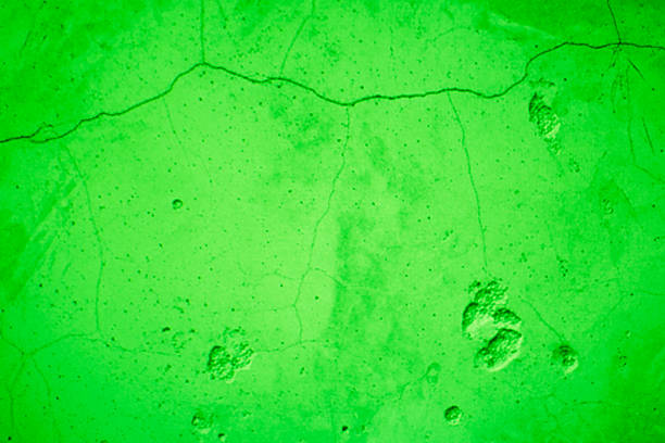 Vivid green abstract texture featuring cracks and small dents. A bold, modern backdrop suitable for design projects, tech concepts, eco themes, and creative visuals looking for tactile color.