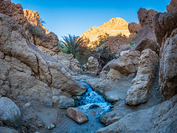 Fresh water flowing through the Chebika oasis in Tunisia, framed by rocky desert cliffs and palm trees, showcasing a rare green refuge and tranquil nature in an arid landscape