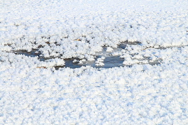 A close-up of water drops. Snow. Outdoor. Day